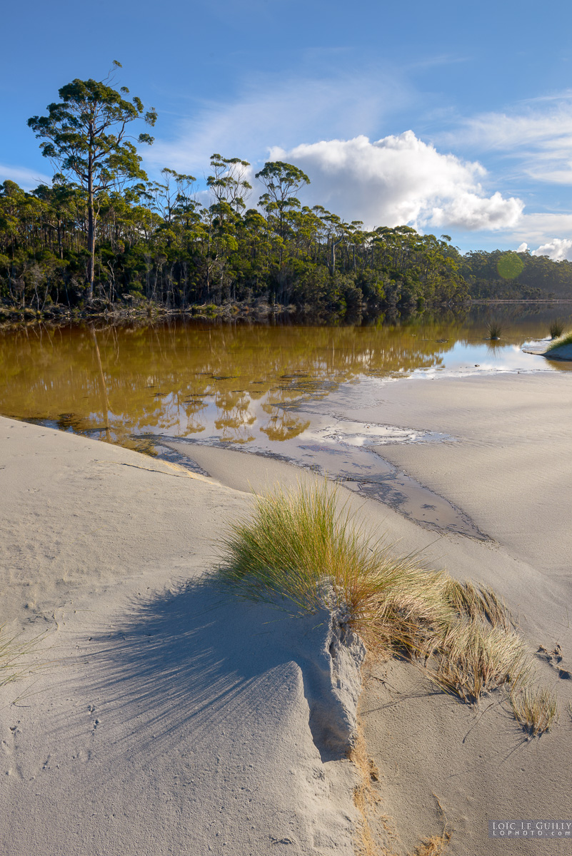 photograph of Blackswan Lagoon near Recherche Bay